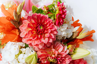 5 октября: праздник учителей и работников угрозыска 