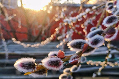 Роман Вильфанд: весна в России будет ранней