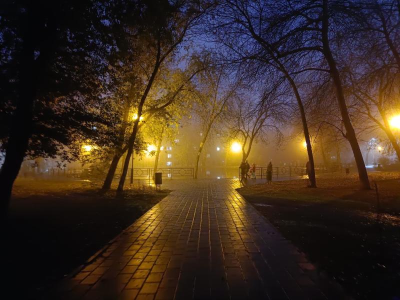 В Самарской области 31 октября ожидается сильный ветер и гололедица