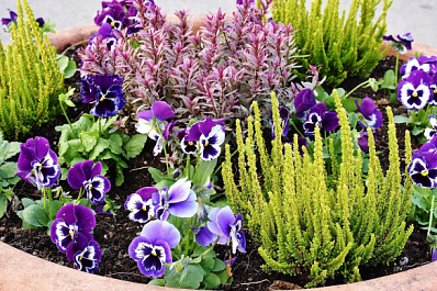 Дворы украсят: в Сызрань завезут землю