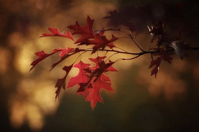 В Самарскую область возвращается тепло