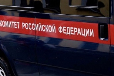 В Тольятти возбудили дело из-за нападения на полицейских на несанкционированных акциях