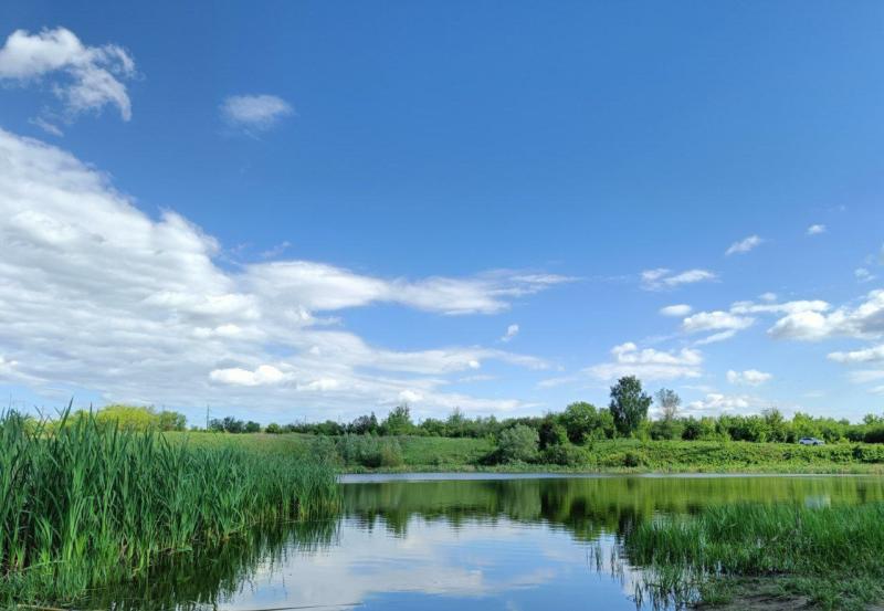 Не уследили старшие: в запрещенном для купания водоёме утонул 9-летний мальчик 