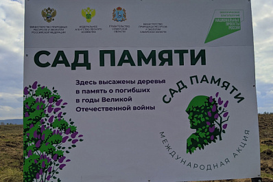 Для будущих поколений: в Самарской области посадили лес в память о погибших соотечественниках