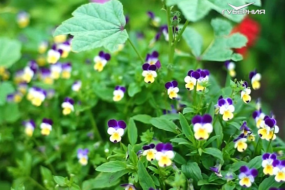 Автопробег "Самара-Магадан". Часть 8. Удачные заметки