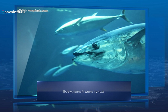 Всемирный день тунца. Календарь Губернии от 2 мая