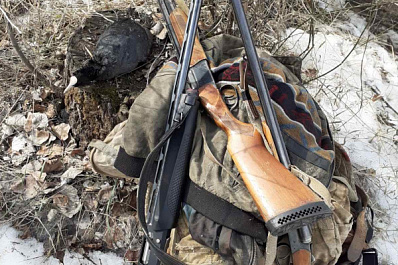  В Самарской области браконьеры застрелили краснокнижных лебедей