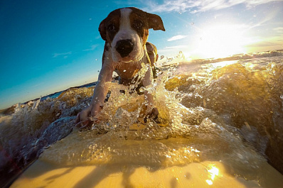 Синоптики рассказали, когда жителям Самары и области ждать потепления