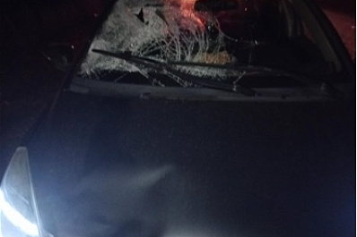 В Чапаевске иномарка сбила пешехода, он в реанимации