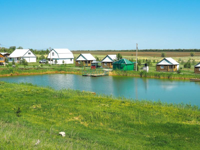 Урожай идей: аграрии осваивают новые рынки