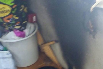 В Тольятти двое детей остались одни дома и устроили пожар