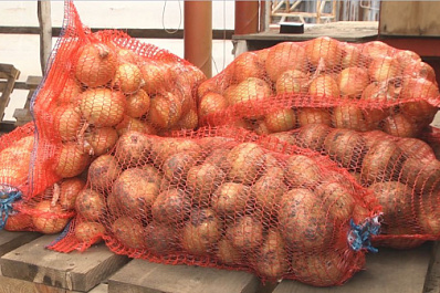 Еще два предприятия Самарской области могут попасть в нацпроект "Производительность труда и поддержка занятости"