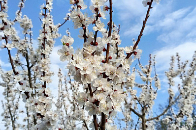 Народные приметы на 2 мая 2025 года: что нельзя делать в этот день