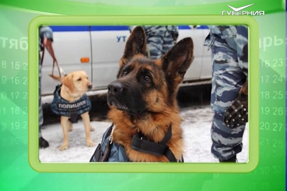 Календарь губернии 21.06.2017