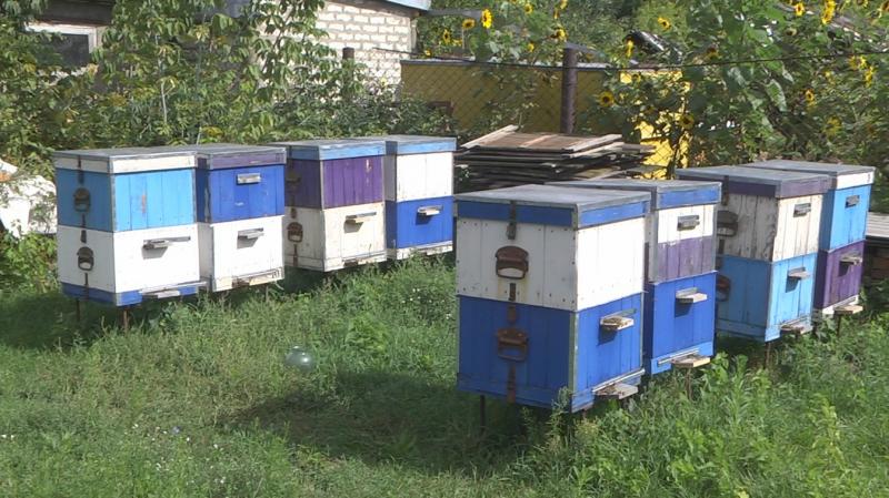 В Самарской области развивается практика социальных контрактов