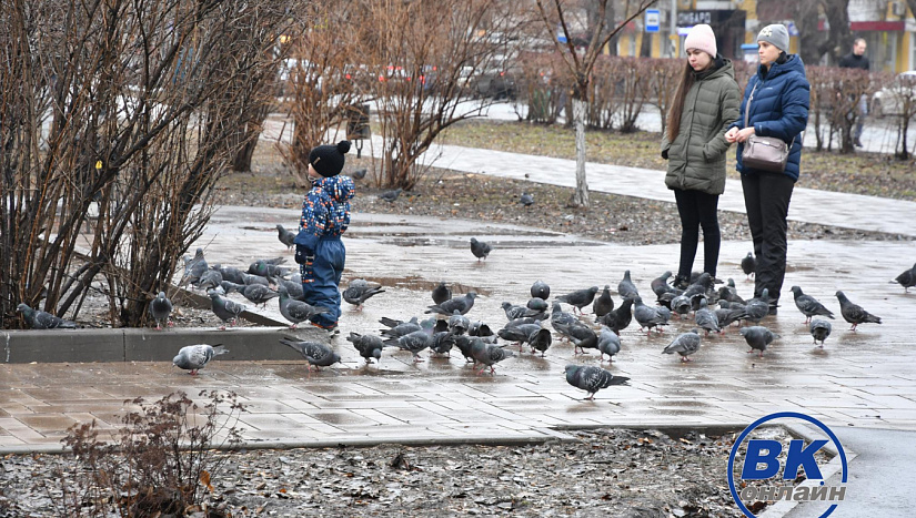 25 марта в истории и архиве "ВК"