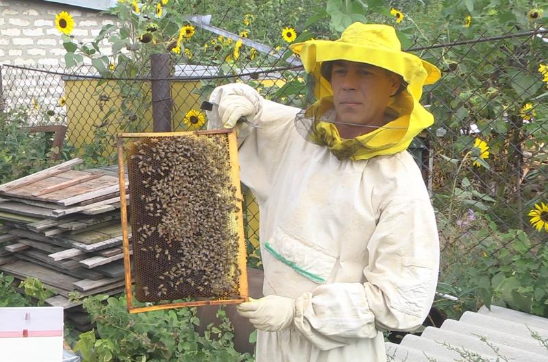 В Самарской области развивается практика социальных контрактов