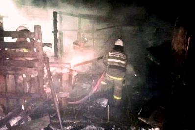 На пожаре в Самарской области погибли домашние поросята