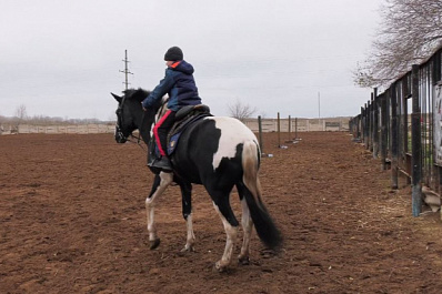 Скакать на лошадях вниз головой и рубить шашкой на ходу: как в Самарской области возрождают казачество