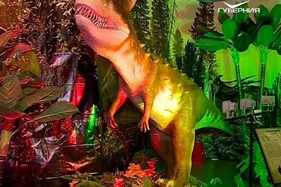 Выставки о динозаврах и героях мультфильмов открываются в областном центре