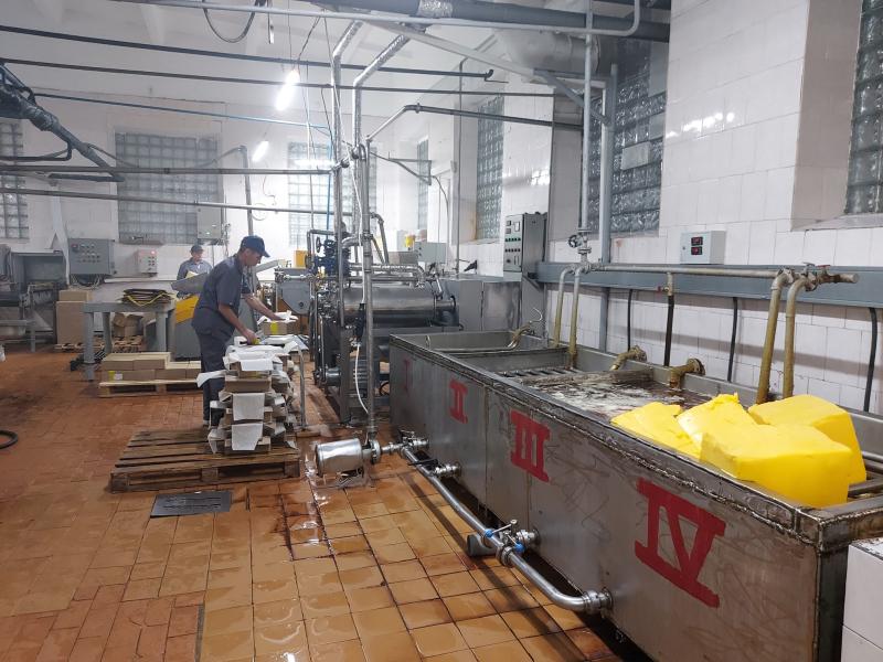 Как делают "молочку" в Красном Яре: репортаж с завода, который перерабатывает до 50 тонн сырья в сутки