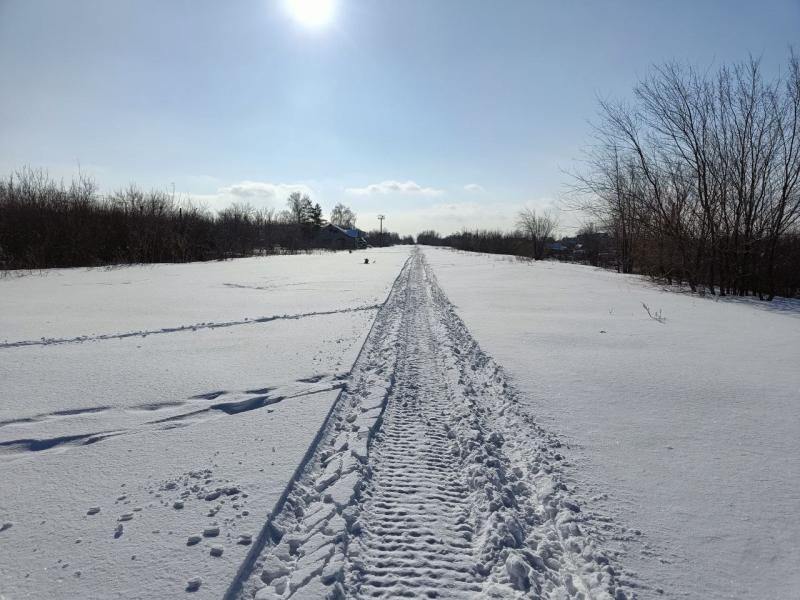 В Самарской области 4 марта будет ясно и солнечно