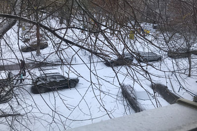 На Самарскую область обрушилась метель