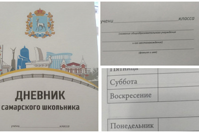 Минобрнауки: издателю "дневника самарского школьника" с ошибками грозит штраф