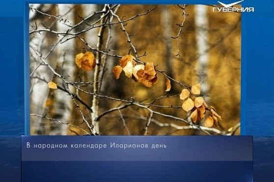 Календарь губернии от 03.11.2018