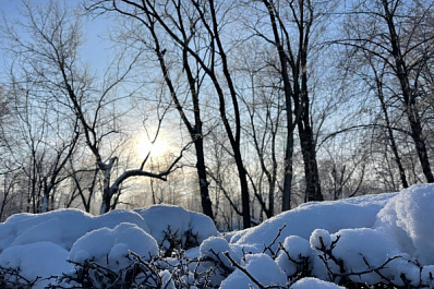 В Самарской области 8 января будет морозно и ветрено