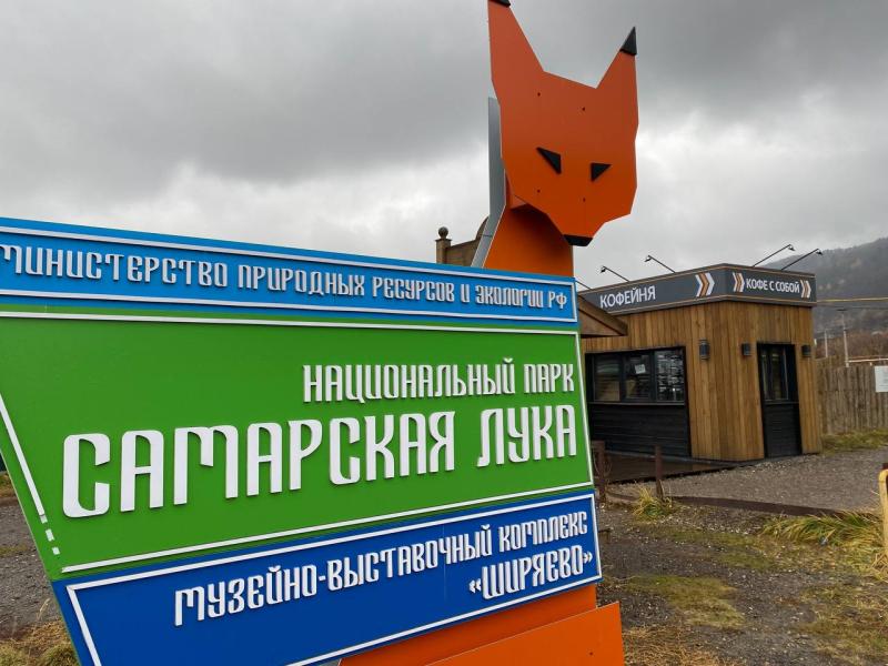 В "Самарскую Луку" впервые за 35 лет прилетела краснокнижная горлица