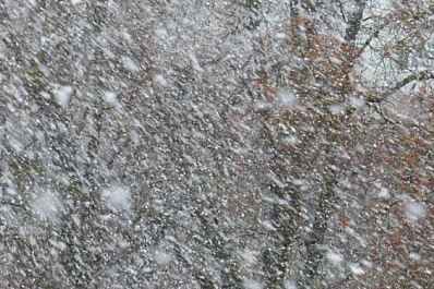 В регион идет непогода с сильным ветром и снегопадом