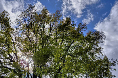 Название статьи