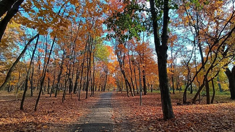 Команда Самарской области примет участие в Детском экологическом форуме