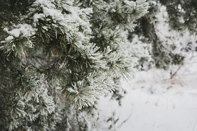 Морозы и скачок давления ожидаются в Самарской области на этой неделе 