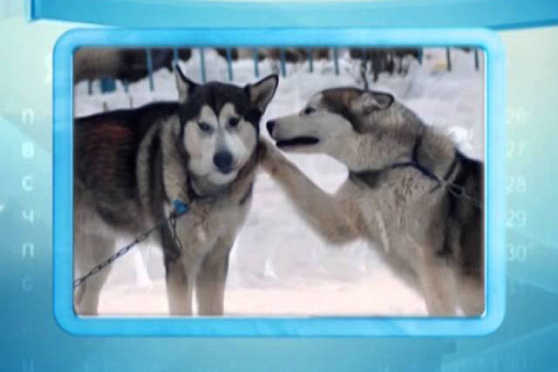 Календарь Губернии 22.02.2014