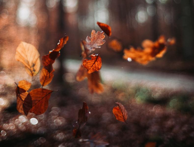 Синоптики рассказали о погоде в Самарской области 6 ноября