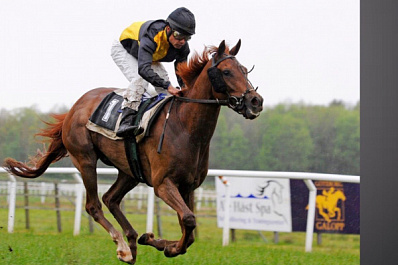 В Камышле на Сабантуе прошли скачки