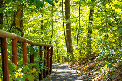 Информация об экотропах Самарской области теперь на национальном туристическом портале