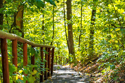 Название статьи