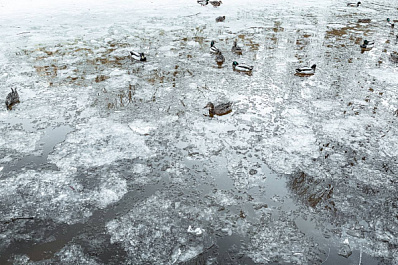 В Волжском районе из пруда спасли 65-летнего мужчину 