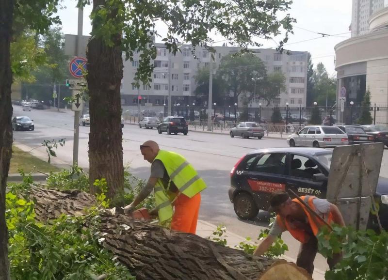 В Самаре во время грозы упали 35 деревьев