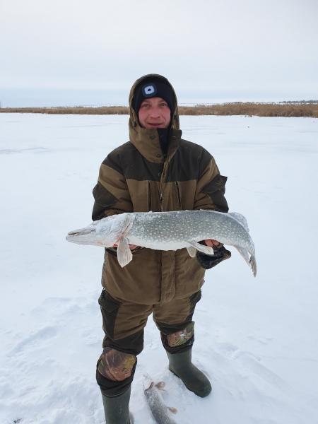Рыбаки из Самары выложили из пойманных щук поздравление с Новым годом