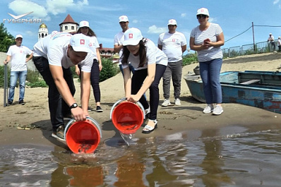 В Самарской области в Волгу выпустили 24 тысячи мальков стерляди