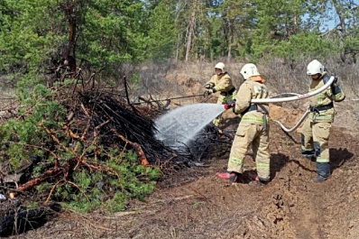 В Самарской области 15 апреля начал действовать особый противопожарный режим