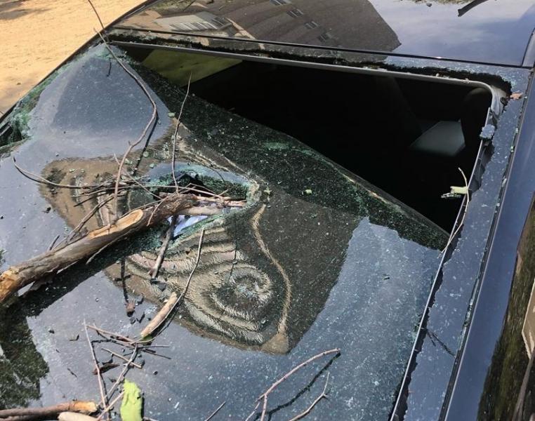 В Самаре крупное дерево раздавило четыре машины