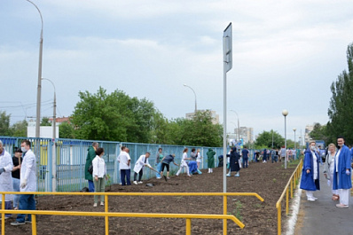 В Тольятти медики высадили 106 молодых лип