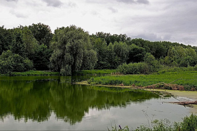 В Самарской области продолжают следить за ситуацией с загрязнением реки Падовки