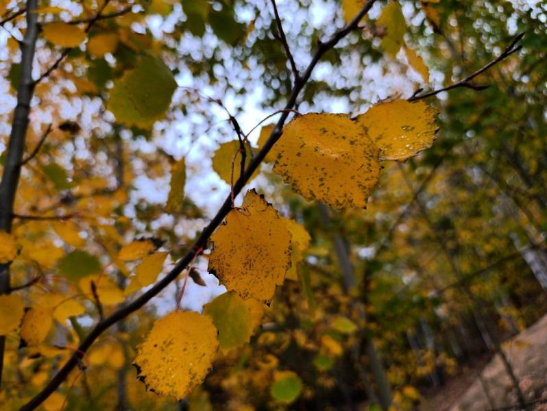 Народные приметы на 7 октября 2025 года: что нельзя делать в этот день