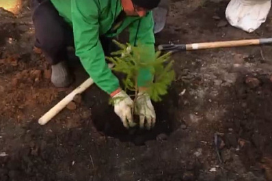 Волонтеры посадили цветы и деревья у нового корпуса Самарской областной детской инфекционной больницы